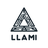 LLAMI - Lion Launch Analytics Metrics Insights