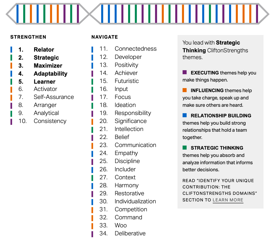 A DNA-looking image showing my strengths rated from 1 to 34