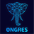 OnGres Inc.