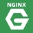 Team-Operation NGINX