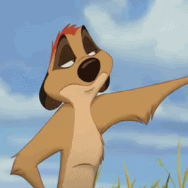 Timon Rules