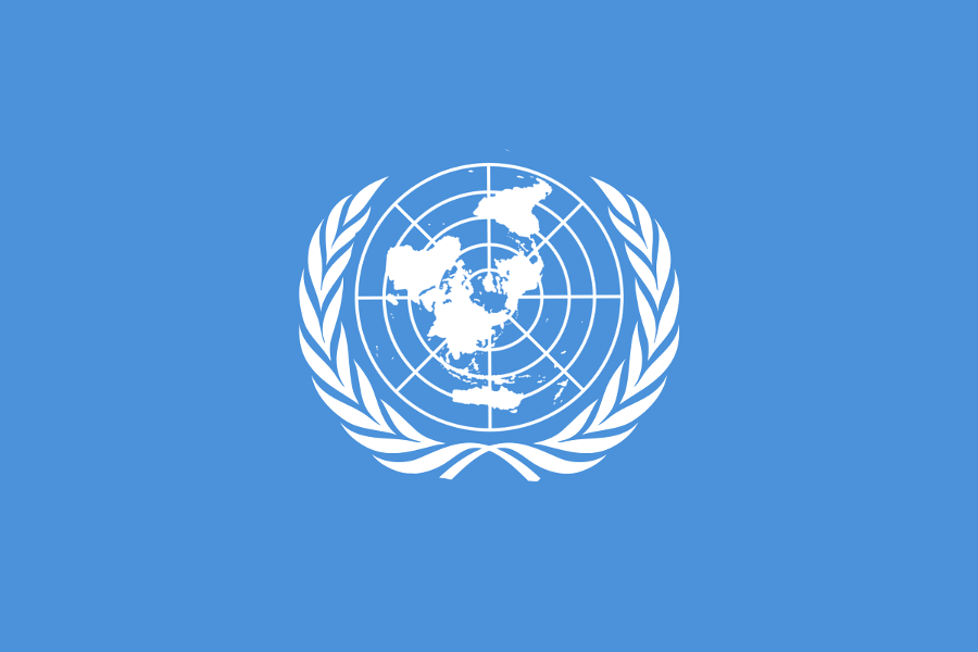 3314 оон. UNECE. Un. Simon Stil United Nations.