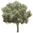 Autonomous Tree