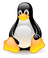 Instalar Linux Bien Fácil