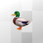 M183 - Blogging Duck