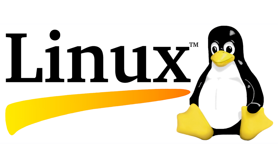 DevOps Portfolio 2025 / 2 - Operating Systems Linux Basics-Projects ...