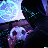 Adrian Pascu's avatar