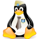 py0xc3 (Fedora)'s avatar