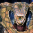 Wouter Simons's avatar
