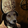 PopeRigby's avatar
