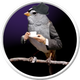 AngriestBird's avatar