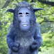 osoese's avatar
