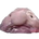 blobfish's avatar