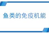 如何降低风险？水温、盐度、PH等这7个指标关系水产养殖的成败