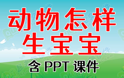 大班科学优质课教案《动物怎样生宝宝》含PPT课件