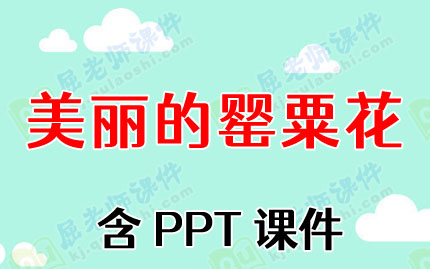 中班禁毒安全教案及反思《美丽的罂粟花》含PPT课件