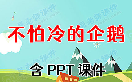 小班科学教案《不怕冷的企鹅》含PPT课件