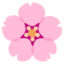 :cherry_blossom: